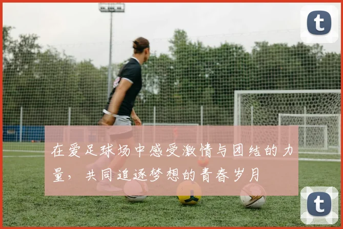 在爱足球场中感受激情与团结的力量，共同追逐梦想的青春岁月