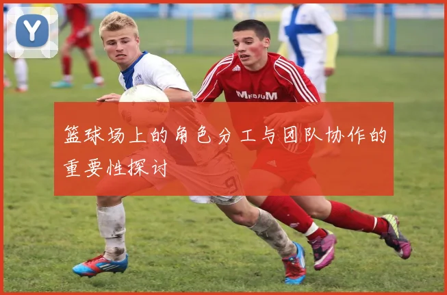 篮球场上的角色分工与团队协作的重要性探讨