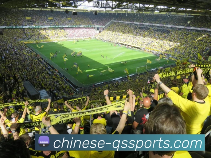 球速体育平台生态图